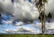 场景塑形 业态造血