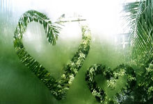 栖·椰城 | 烟火间，诗意长