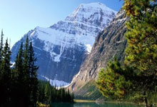 栖·椰城 | 烟火间，诗意长